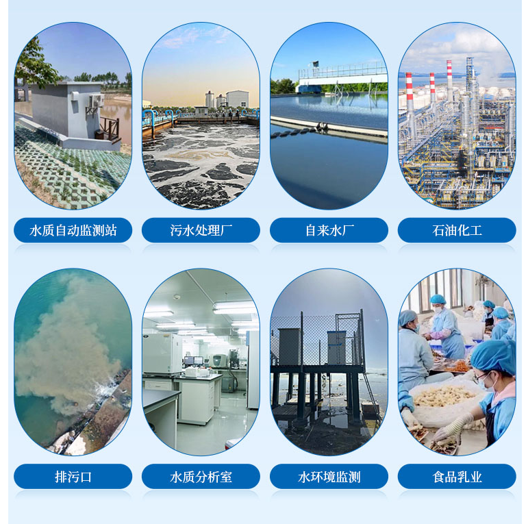 葉綠素行業.png