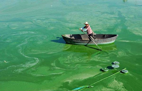 1758162360852330.jpg “水華”現象.jpg