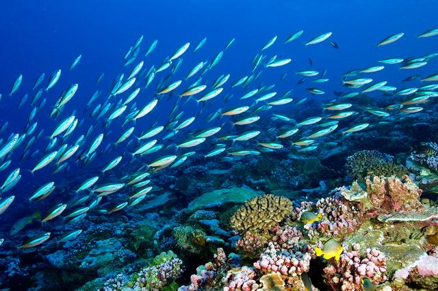 1762222933308926.jpg 87a206e411b6704cb9d9a69a63a54408_1762138413423365.jpg