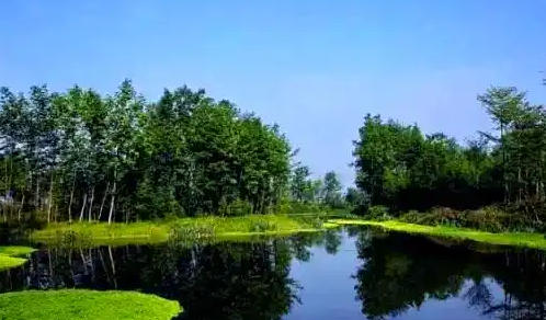 1770257527115828.jpg 人工濕地.jpg